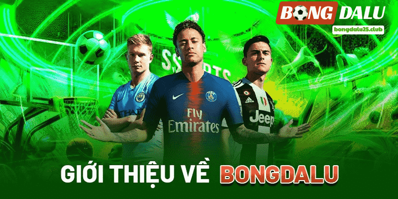 Giới thiệu chung về Bongdalu